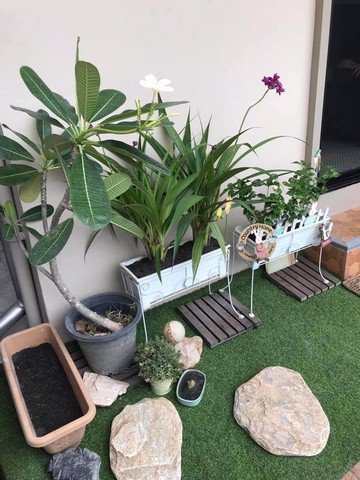 รหัสc3141-ให้เช่าบ้านแฝด-2ชั้น-ถนนลาดพร้าวซอย80-บ้านตกแต่งสวยพร้อมอยู่