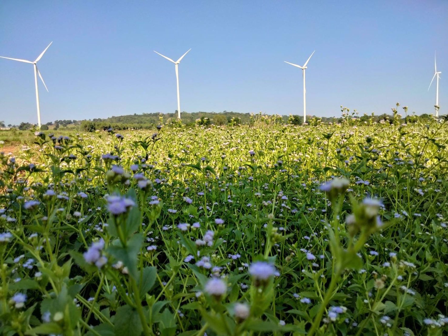 ที่ดินหลักร้อย-วิวหลักล้าน-อากาศดีมาก-โอโซนยอดเยี่ยม-ฟินน์สุดๆ