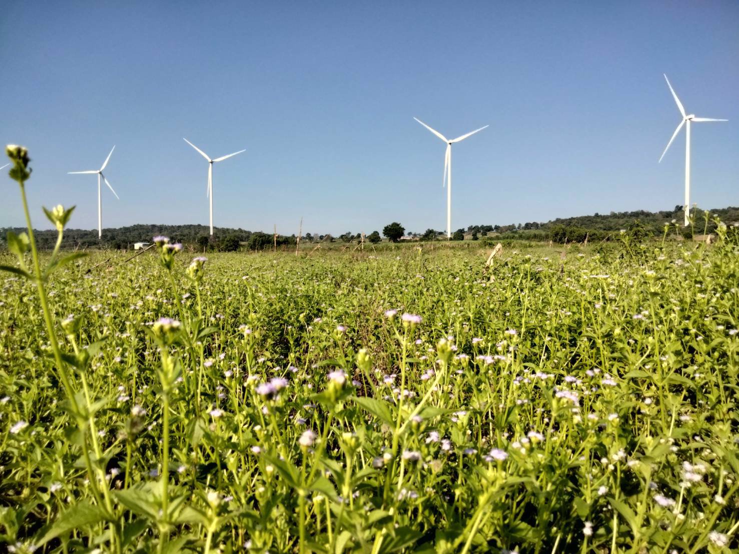 ที่ดินหลักร้อย-วิวหลักล้าน-อากาศดีมาก-โอโซนยอดเยี่ยม-ฟินน์สุดๆ