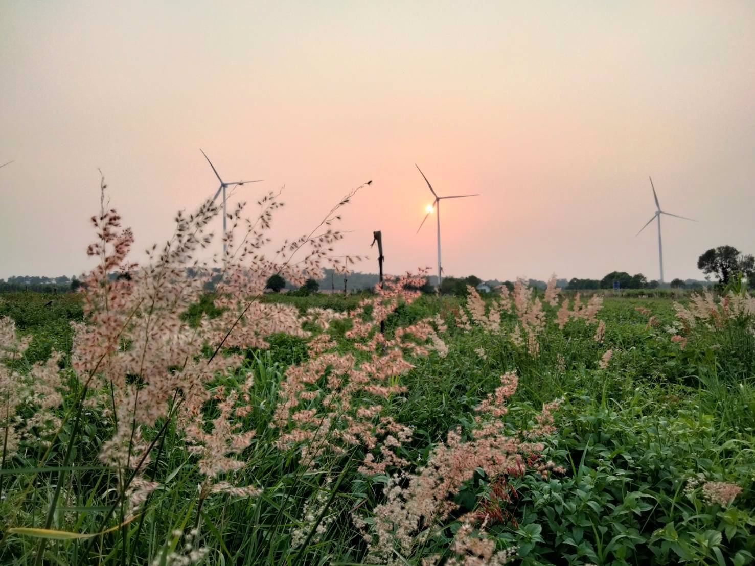 ที่ดินหลักร้อย-วิวหลักล้าน-อากาศดีมาก-โอโซนยอดเยี่ยม-ฟินน์สุดๆ