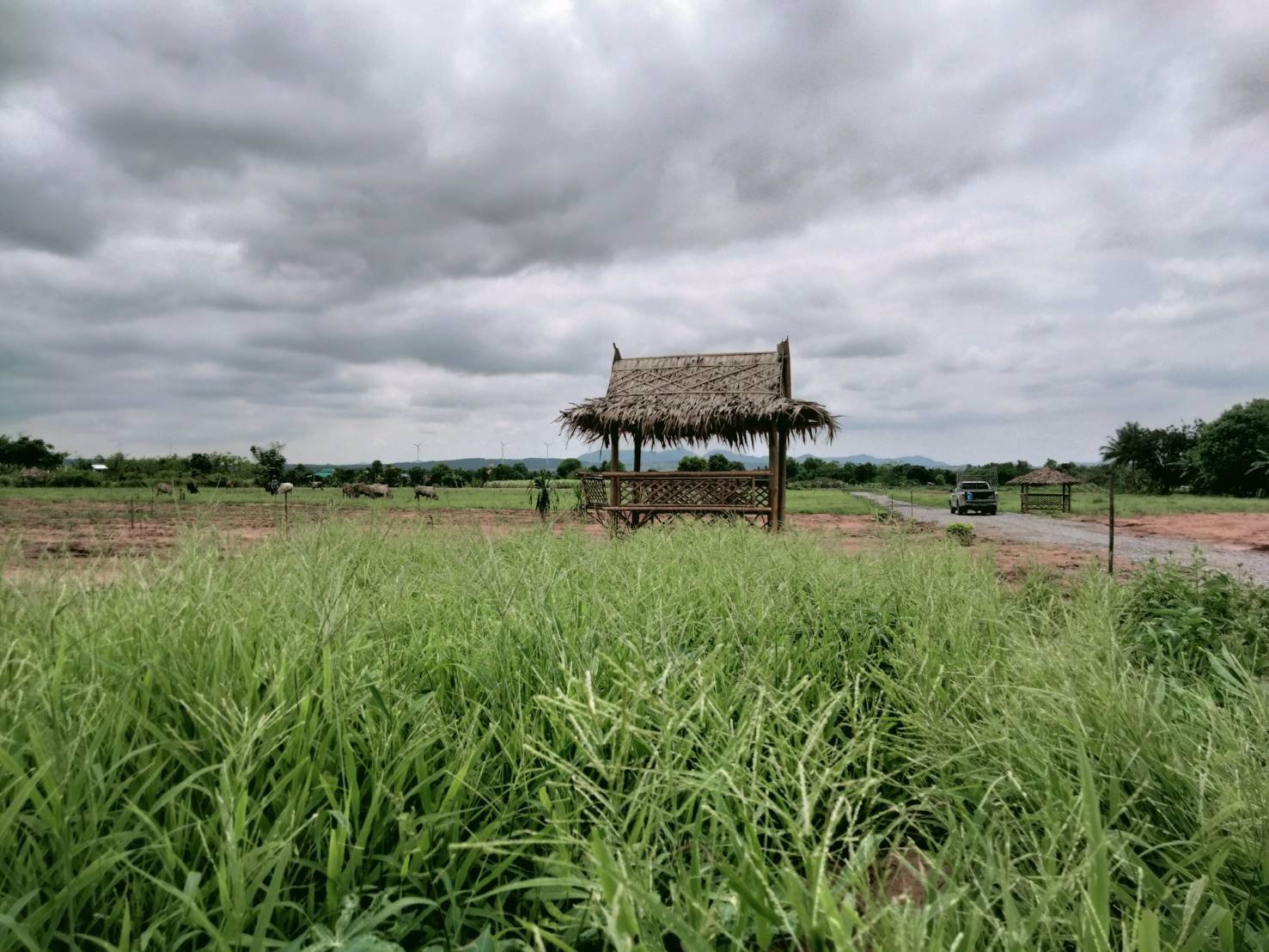 สวรรค์บนดิน-ที่ดินวิวฟินมาก-สวยจริง