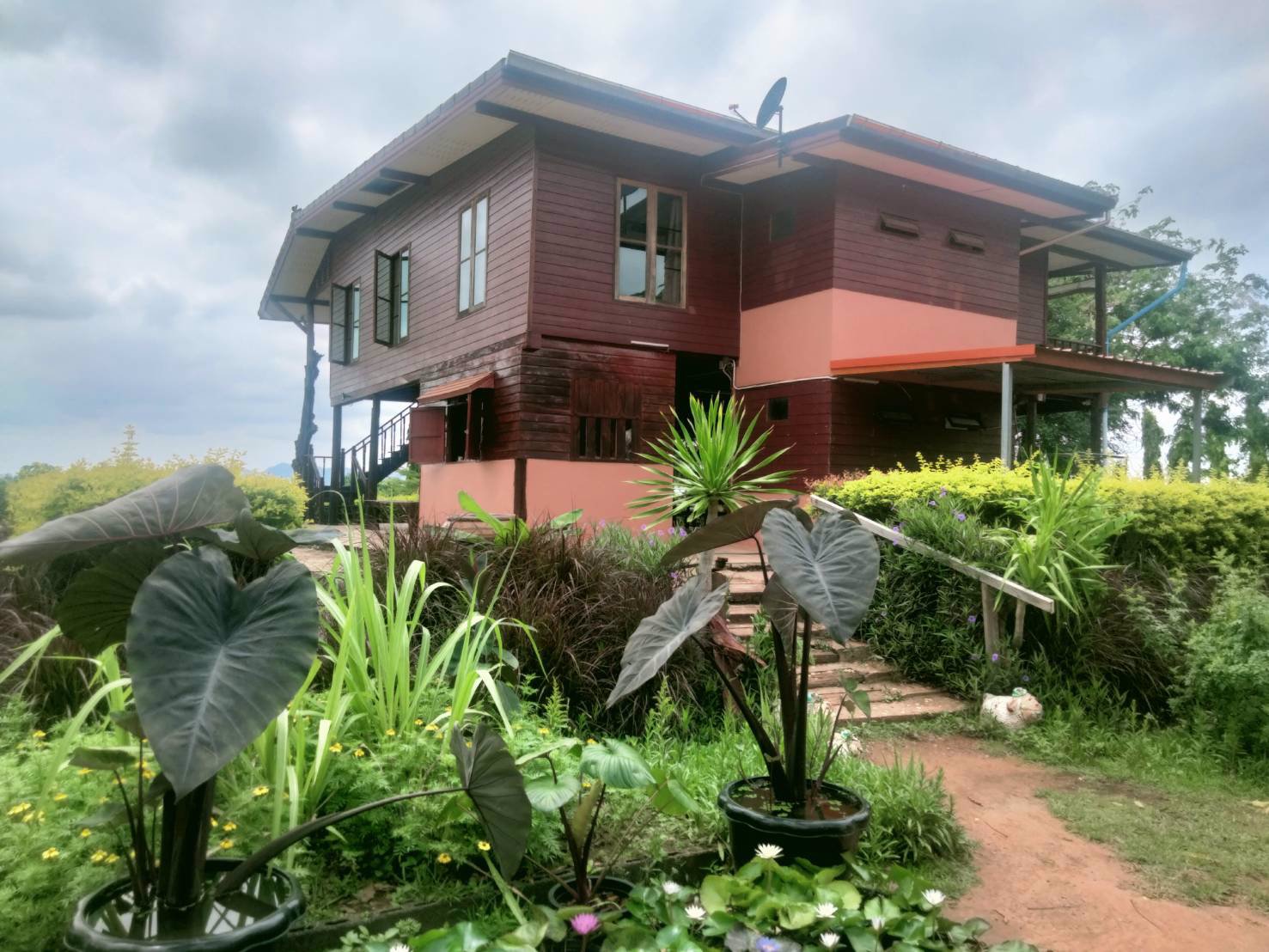 สวรรค์บนดิน-ที่ดินวิวฟินมาก-สวยจริง