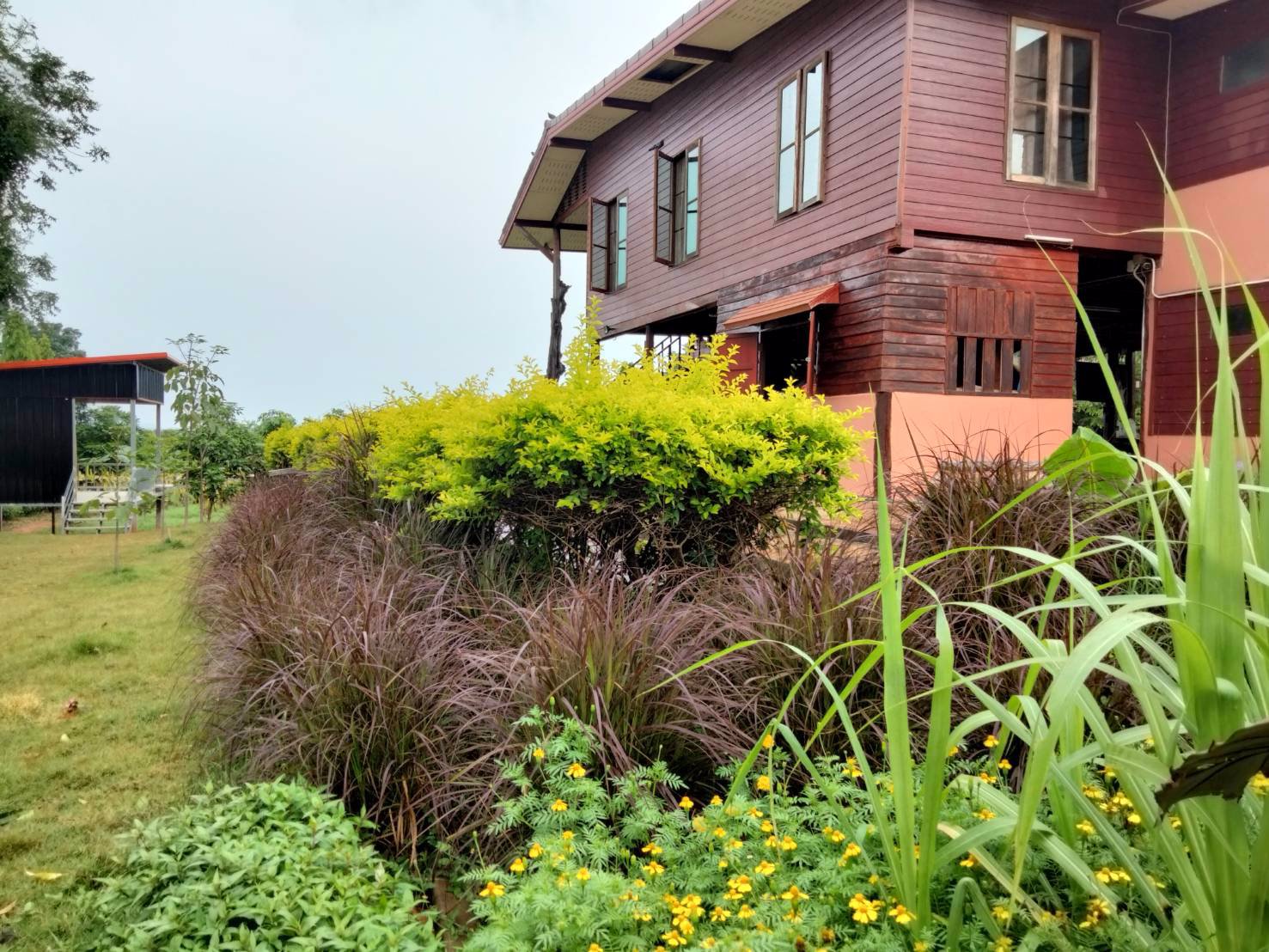 สวรรค์บนดิน-ที่ดินวิวฟินมาก-สวยจริง