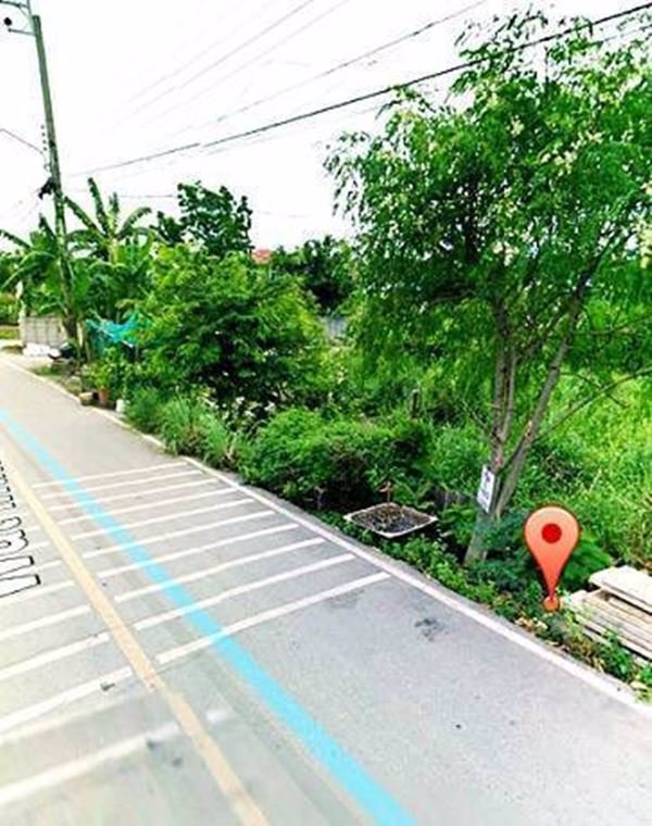 ขายด่วน-ที่ดินเปล่า-1-ไร่-ปากเกร็ด-ราคา-115-ล้าน-ทางเข้าวัดอินทาราม-ถชัยพฤกษ์-ทิศใต้-เจ้าของขายเอง