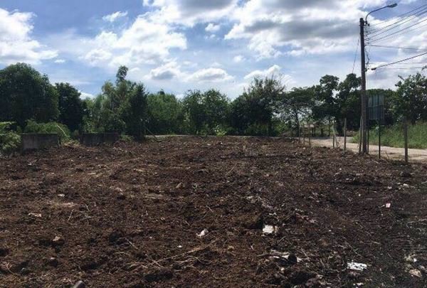 ขายถูก-ที่ดินจัดสรรแปลงสวย-ไทรน้อย-บางบัวทอง-198-ตรว-ทำเลดี-สาธารณูปโภคครบ