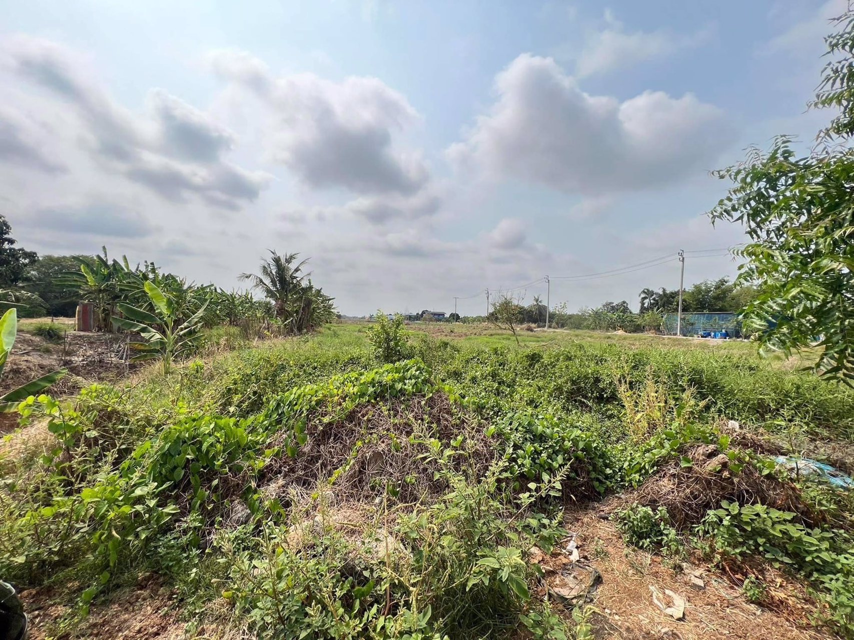 ขายที่ดินแถวหนองจอก