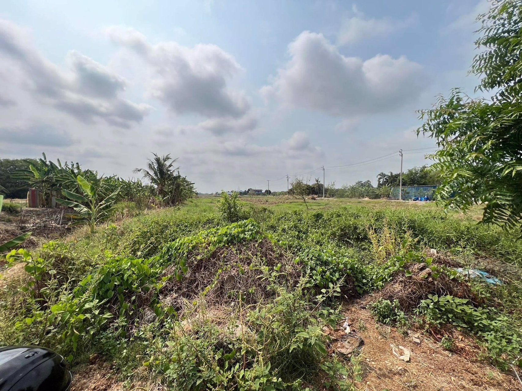 ขายที่ดินแถวหนองจอก