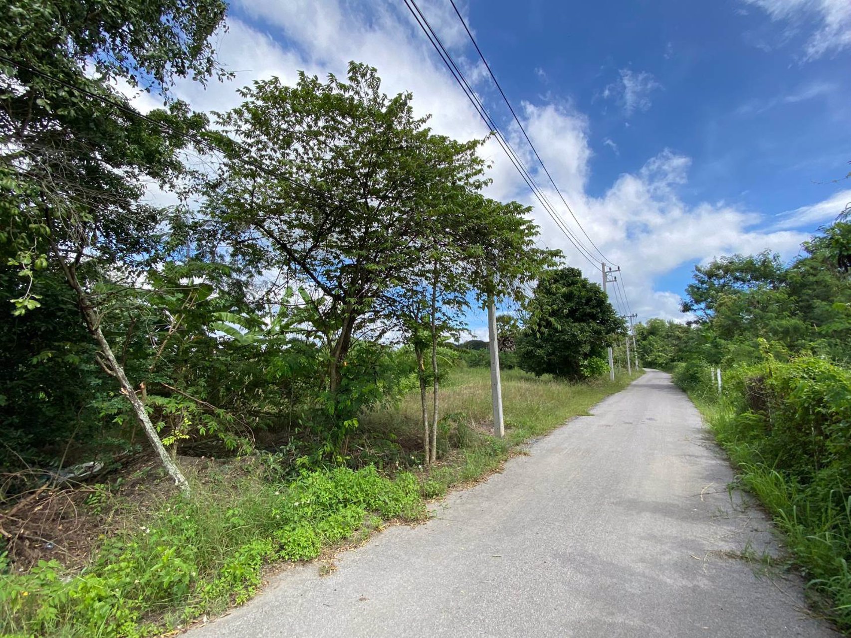 ขายที่เปล่าปากทางขึ้นเขาใหญ่ห่าง-ถมิตรภาพ-เพียง-600เมตร