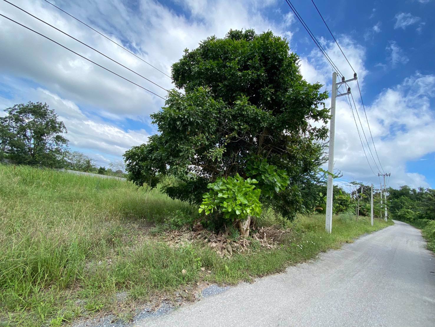 ขายที่เปล่าปากทางขึ้นเขาใหญ่ห่าง-ถมิตรภาพ-เพียง-600เมตร