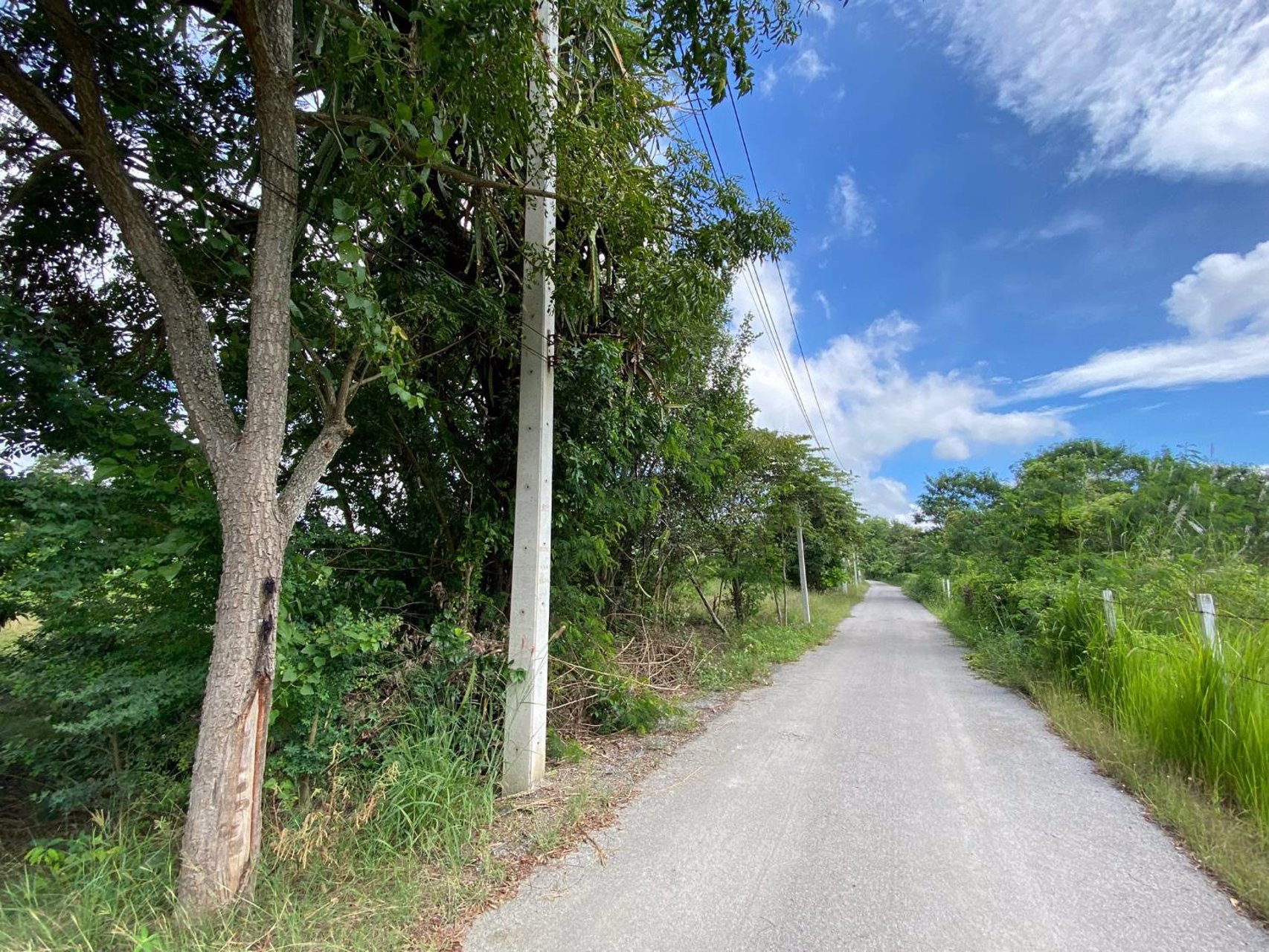 ขายที่เปล่าปากทางขึ้นเขาใหญ่ห่าง-ถมิตรภาพ-เพียง-600เมตร