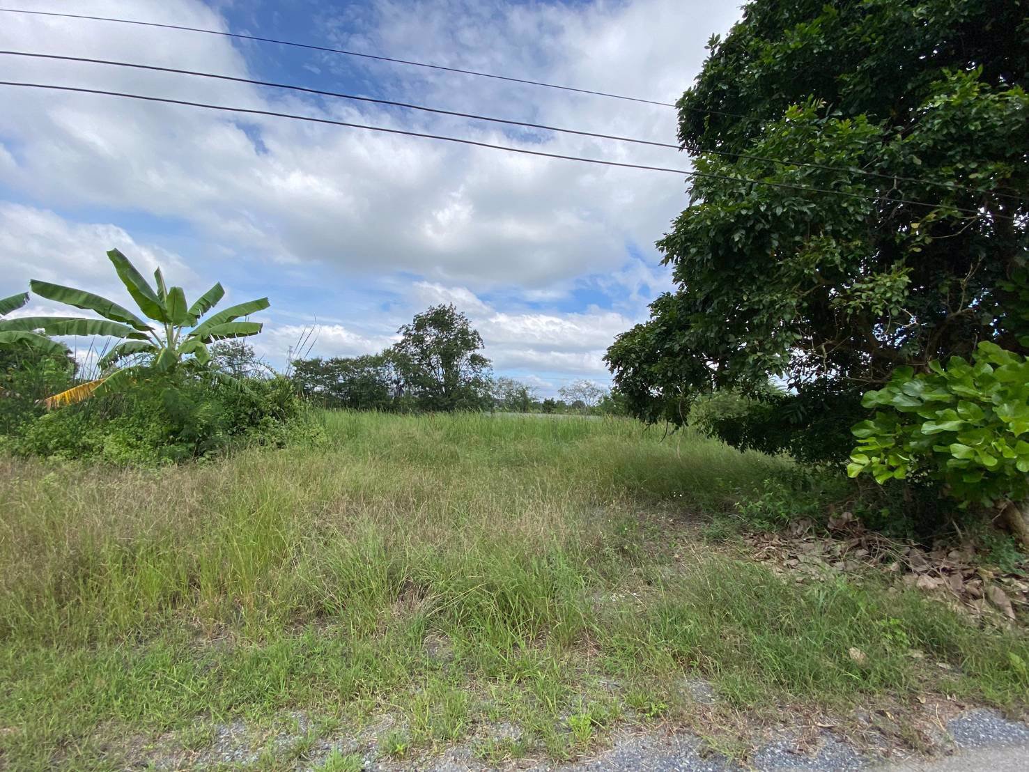 ขายที่เปล่าปากทางขึ้นเขาใหญ่ห่าง-ถมิตรภาพ-เพียง-600เมตร