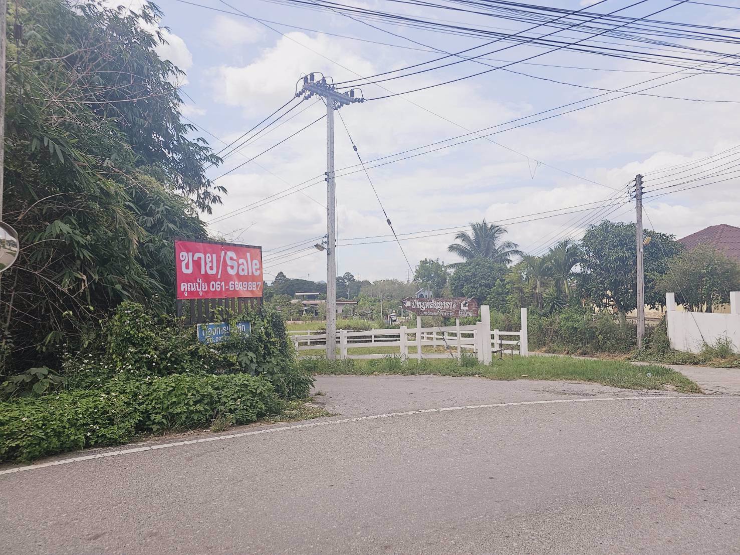 ขายที่เปล่าปากทางขึ้นเขาใหญ่ห่าง-ถมิตรภาพ-เพียง-600เมตร