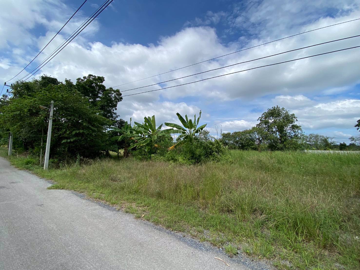 ขายที่เปล่าปากทางขึ้นเขาใหญ่ห่าง-ถมิตรภาพ-เพียง-600เมตร