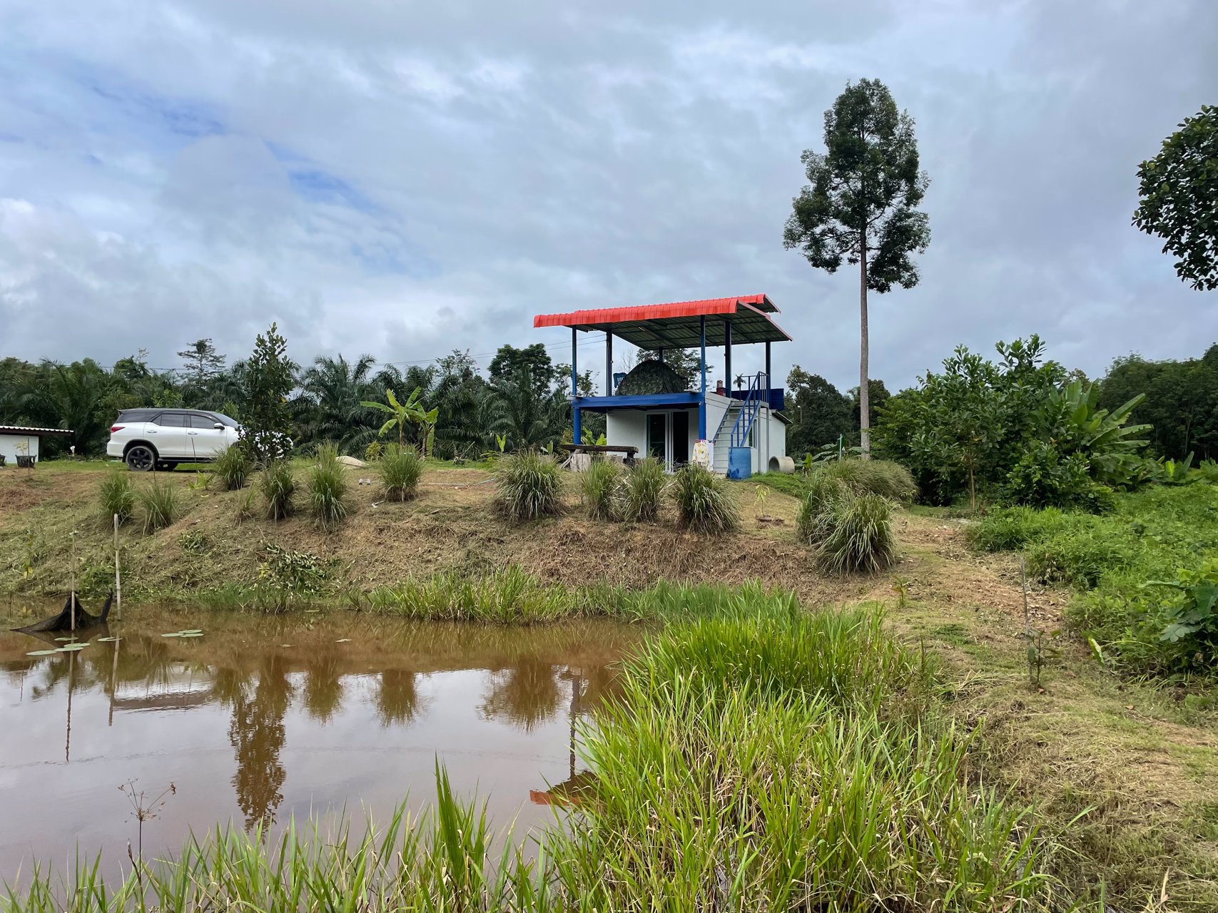 ขายที่ดินเป็นสวนผสม-เน้นปลูกทุเรียนพันธุ์สาลิกา-มีปลูกไว้แล้ว-เกือบ-100-ต้น
