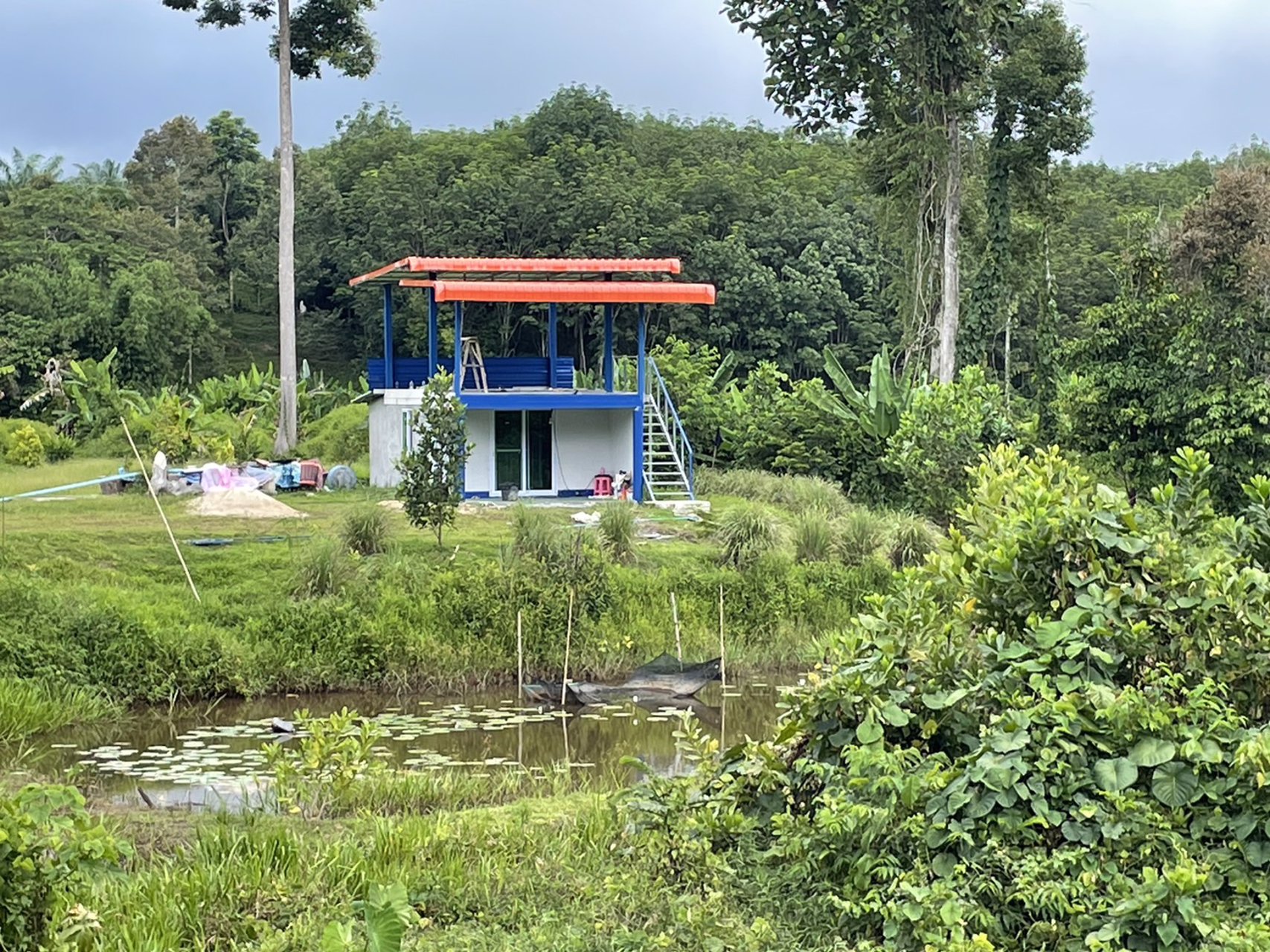 ขายที่ดินเป็นสวนผสม-เน้นปลูกทุเรียนพันธุ์สาลิกา-มีปลูกไว้แล้ว-เกือบ-100-ต้น
