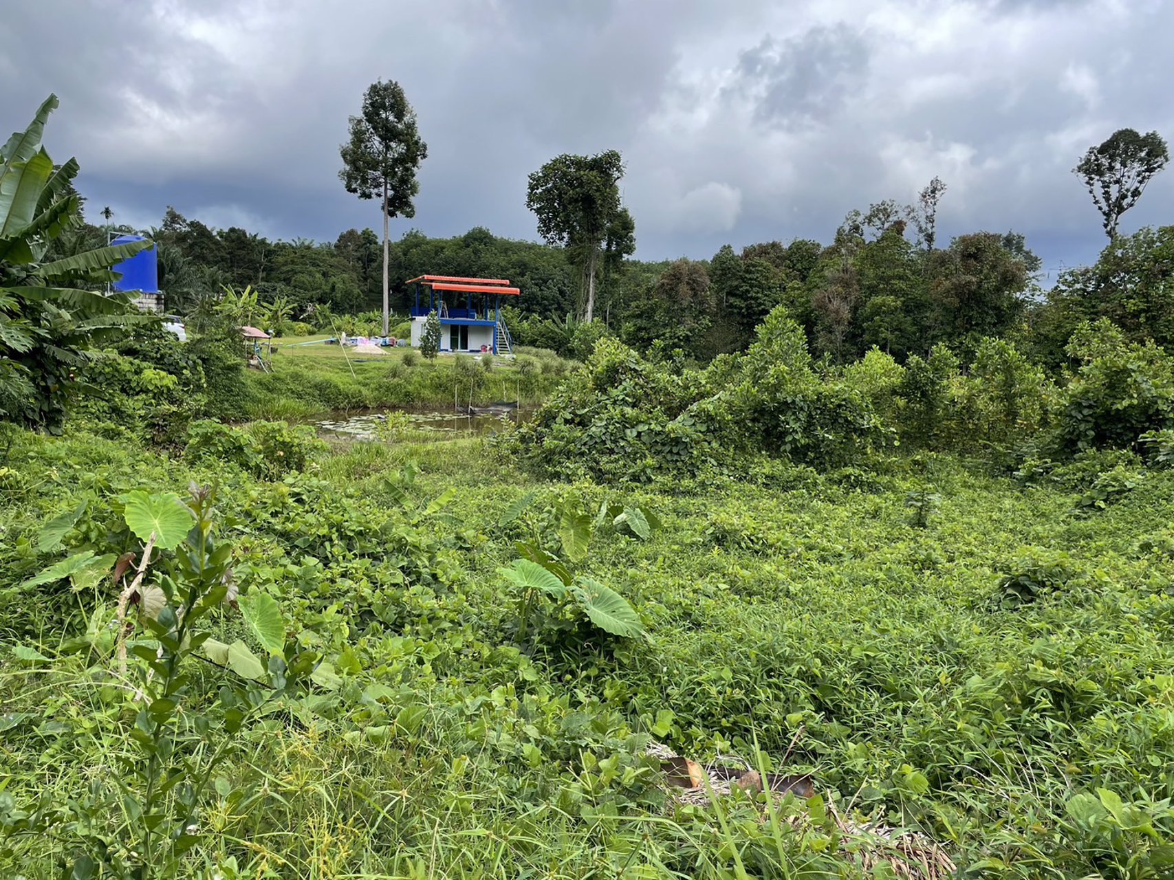 ขายที่ดินเป็นสวนผสม-เน้นปลูกทุเรียนพันธุ์สาลิกา-มีปลูกไว้แล้ว-เกือบ-100-ต้น