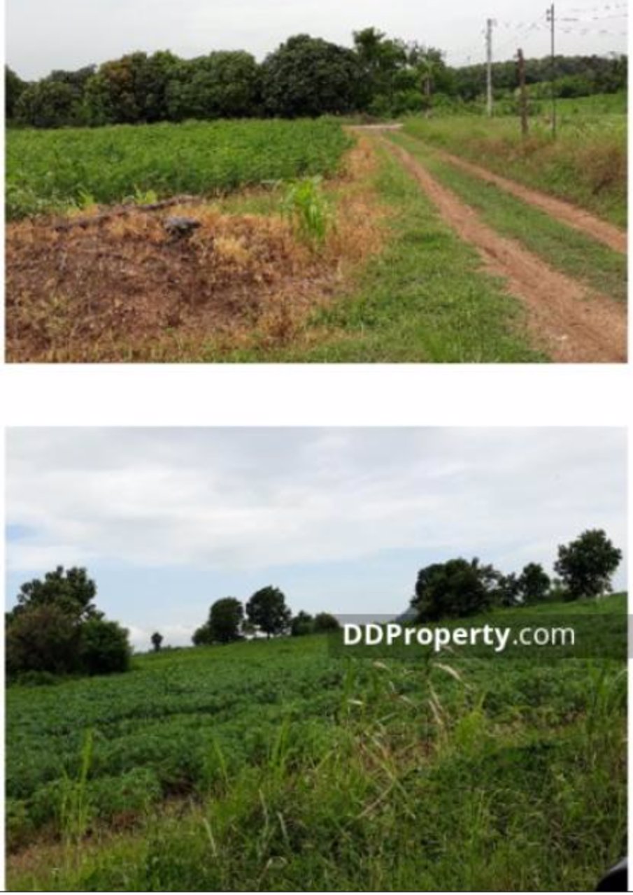 ขาย-ด่วน-ที่ดิน-276-ไร่-นิคมลำนารายณ์-อชัยบาดาล-จลพบุรี