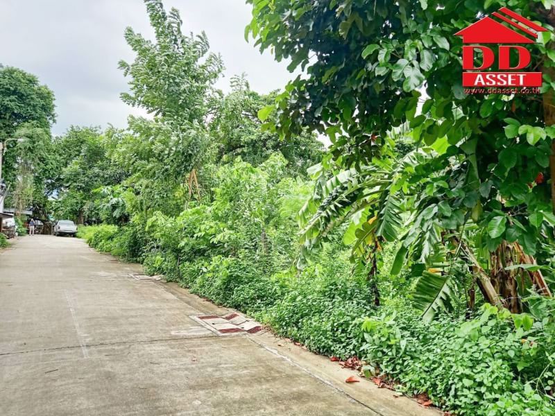 ขายด่วนที่ดินเปล่ามีนบุรี-ตรงข้ามตลาดมีน-ซอยสีหบุรานุกิจ-16-แนวรถไฟฟ้า-สายสีชมพู