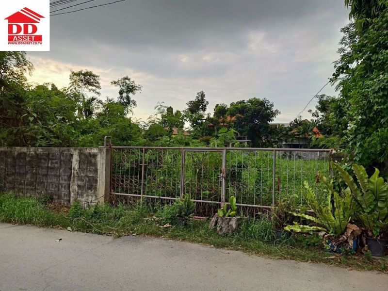 ขายด่วน-ที่ดินเปล่า-วัชรพล-สุขาภิบาล-5-ซอย-65-ซอยสวัสดิ์ดี-ตรงข้ามปั๊ม-shell