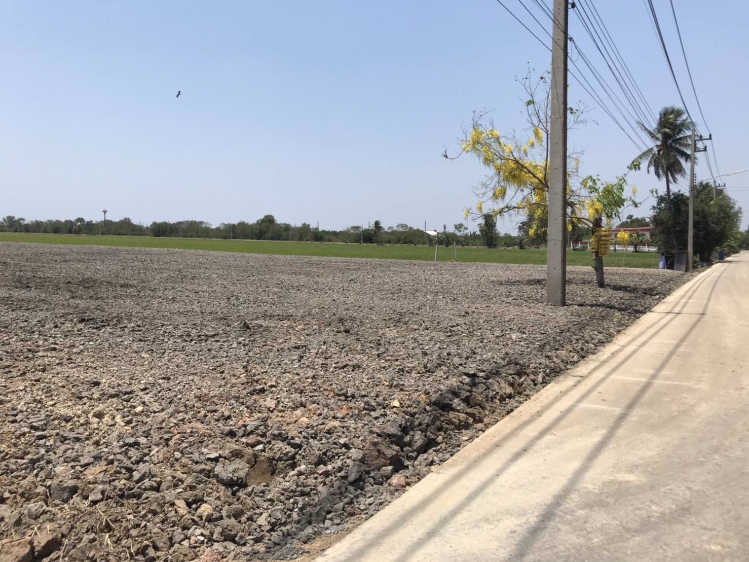 ที่ดิน-โรงงาน-โกดัง-ทำเลดี-มีอนาคต-คุ้มสุด-เริ่มที่-17-ล้านบาท