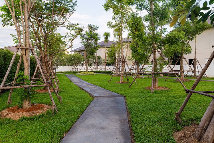 ด่วน-บ้านพร้อมผู้เช่า-โครงการ-the-urbana-6-เชียงใหม่