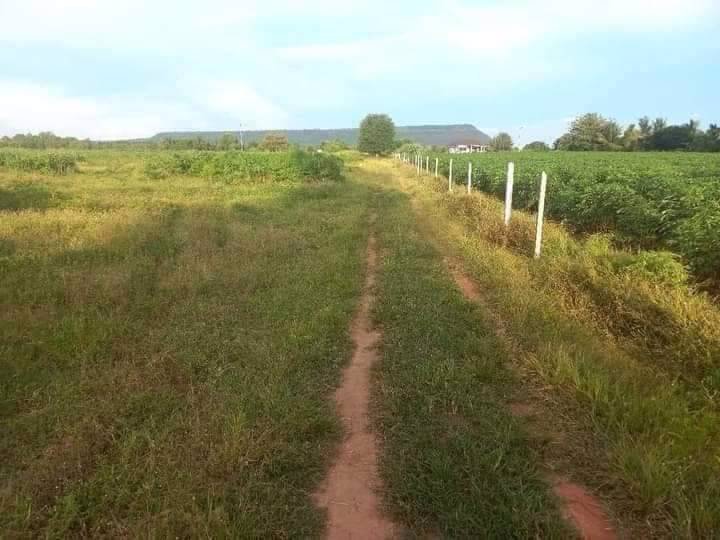 ที่ดินทำเลทอง-ใกล้ตลาด-ตหนองน้ำใส-ภบท5-