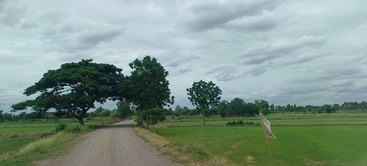 โฉนดครุฑแดง-ที่ดินติดคลองน้ำ-อสีคิ้ว-จนครราชสีมา