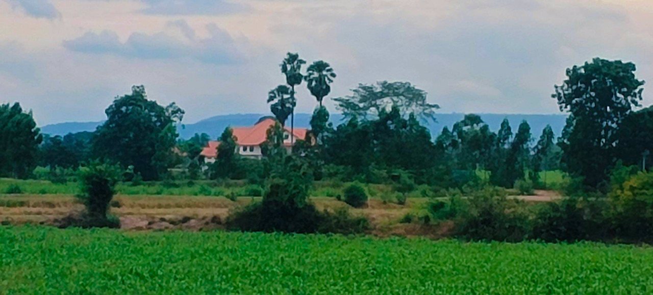 โฉนดครุฑแดง-ที่ดินติดคลองน้ำ-อสีคิ้ว-จนครราชสีมา