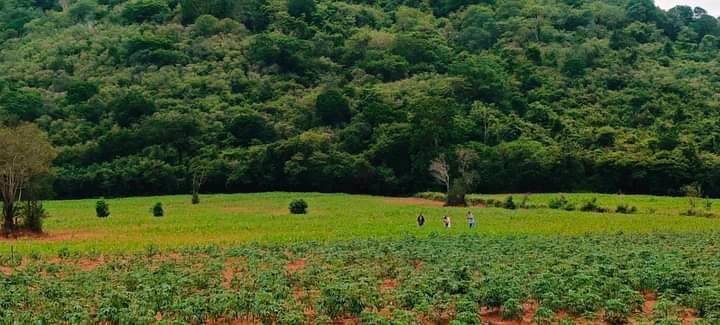 ที่ดิน-ภบท5-อสีคิ้ว-จนครราชสีมา