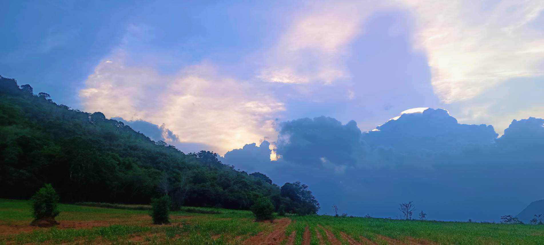 ที่ดิน-ภบท5-อสีคิ้ว-จนครราชสีมา