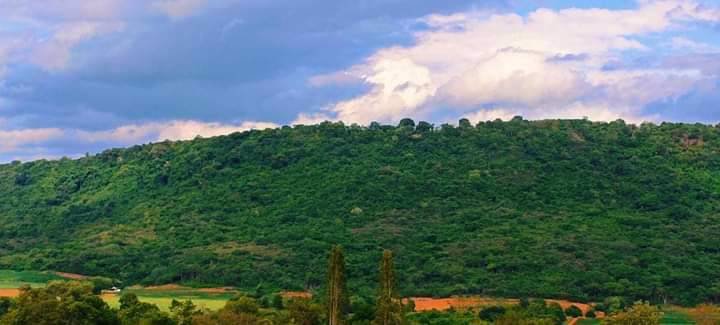 ที่ดิน-ภบท5-อสีคิ้ว-จนครราชสีมา