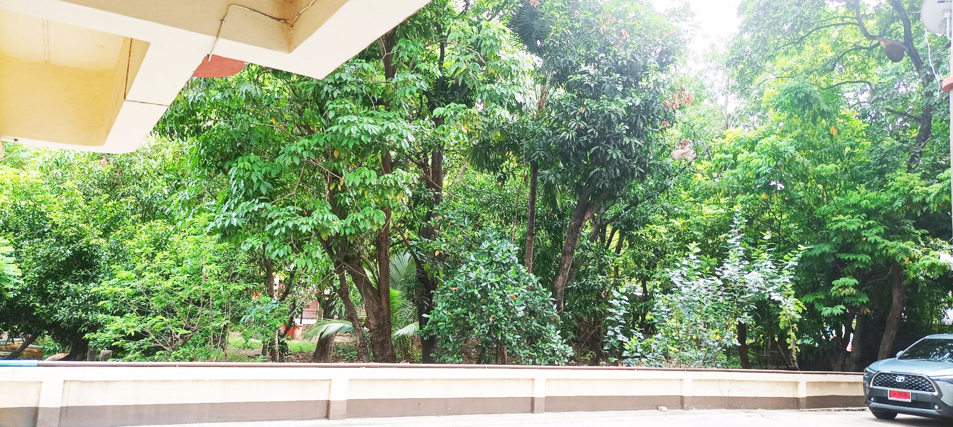 owner-post-ขาย-คอนโด-พระราม9-ห้องใหญ่-81ตรม-ดุลิยา-ชาริสม่า-ห้องมุม-ห้องแฝด