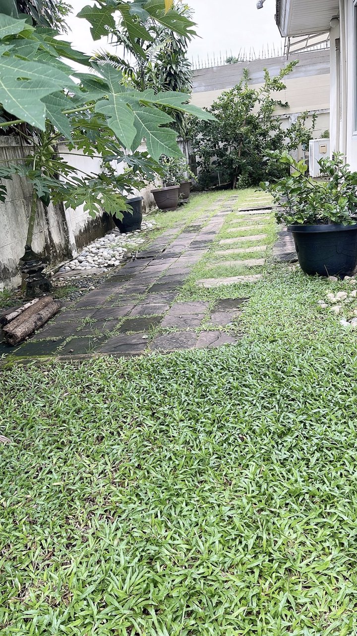 sale-489-ล้าน-บ้านเดี่ยว-2-ชั้น-60-ตรว-มบเพอร์เฟคพาร์ค-รามคำแหง-ซเคหะร่มเกล้า64-มี-3-นอน-3-น้ำ-2