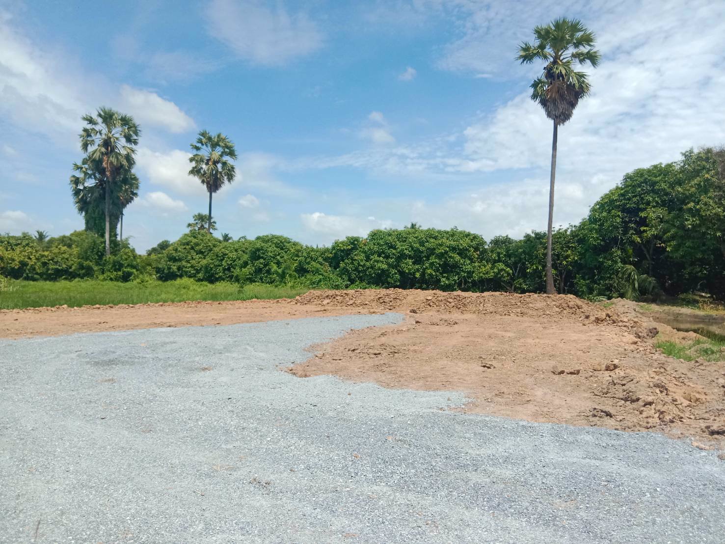 ขายที่ดินถมแล้ว-ราคาถูก-เนื้อที่-1-งาน-51-ตารางวา