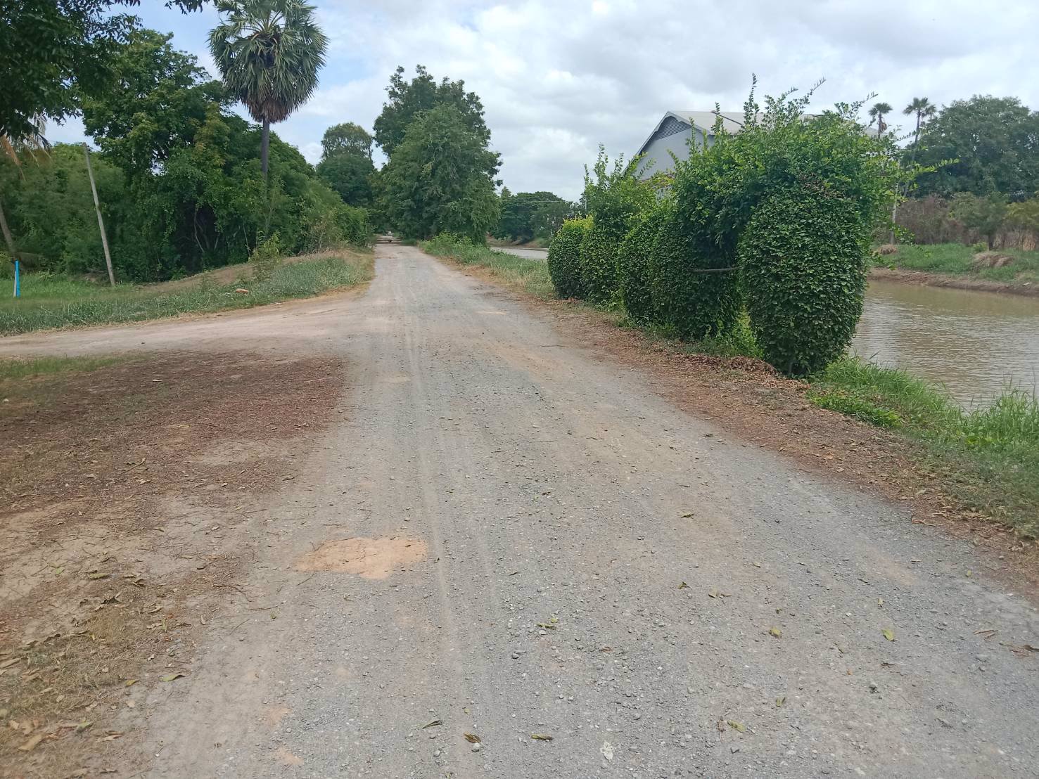 ขายที่ดินถมแล้ว-ราคาถูก-เนื้อที่-1-งาน-51-ตารางวา