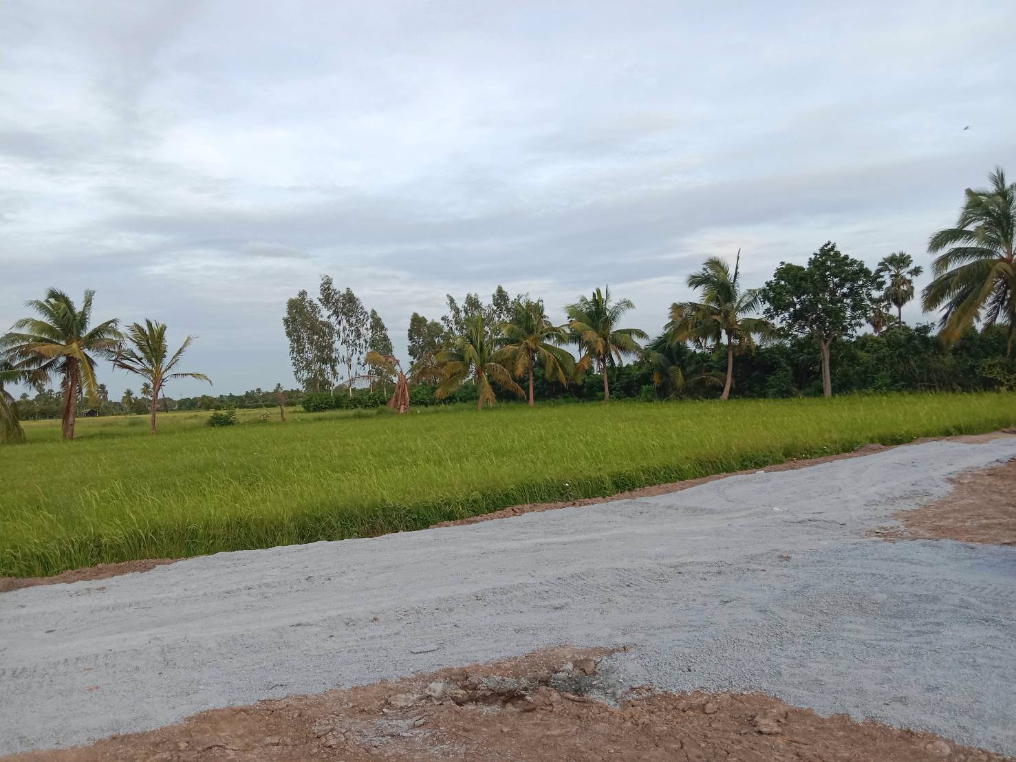 ขายที่ดินถมแล้ว-ราคาถูก-เนื้อที่-1-งาน-51-ตารางวา