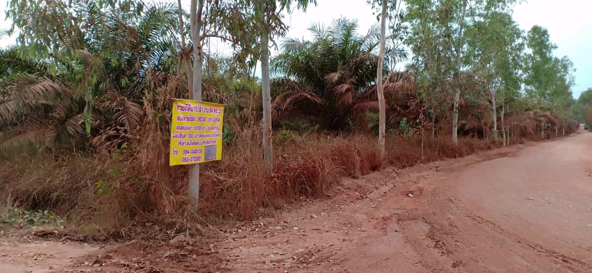 ขายสวนยางและสวนปาล์ม-44-ไร่-3-งาน-35-ตรว