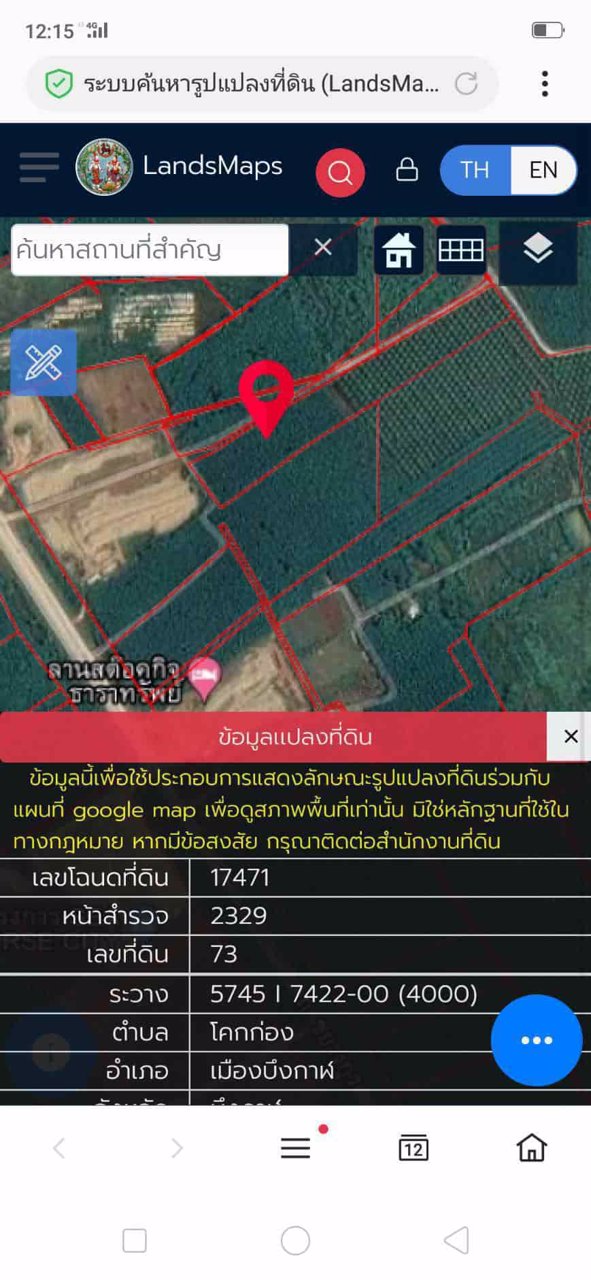 ขายสวนยางและสวนปาล์ม-44-ไร่-3-งาน-35-ตรว