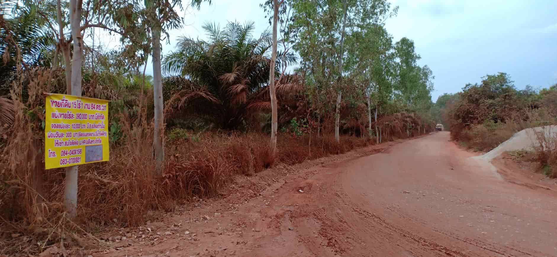 ขายสวนยางและสวนปาล์ม-44-ไร่-3-งาน-35-ตรว