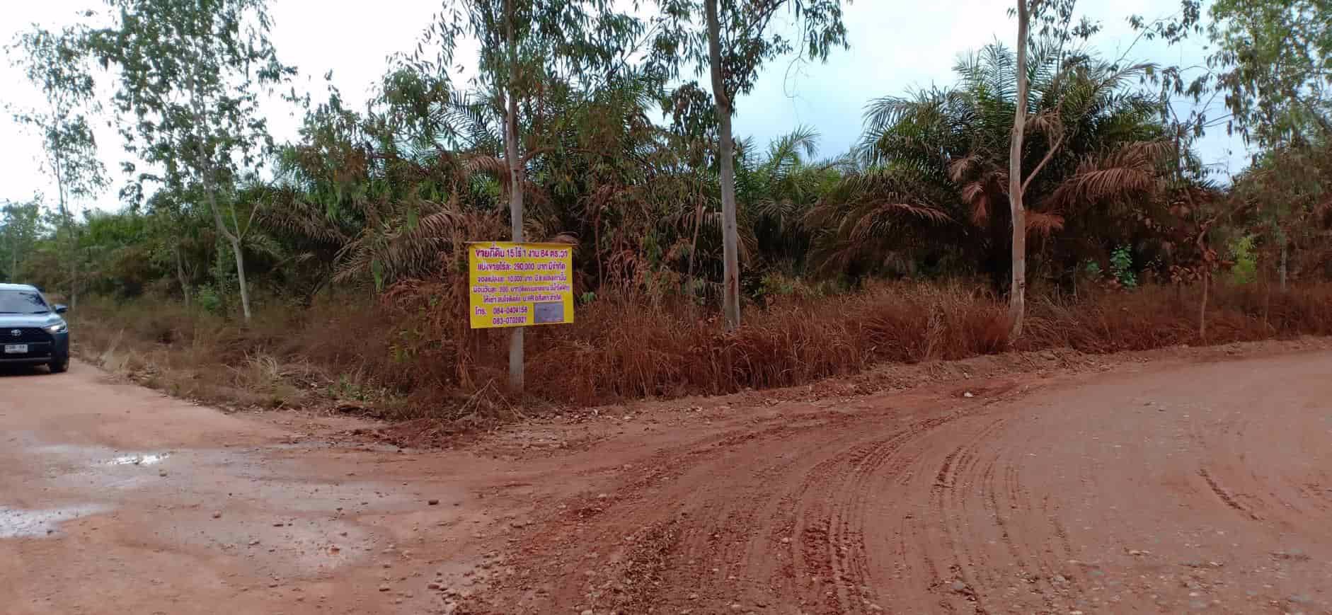 ขายสวนยางและสวนปาล์ม-44-ไร่-3-งาน-35-ตรว