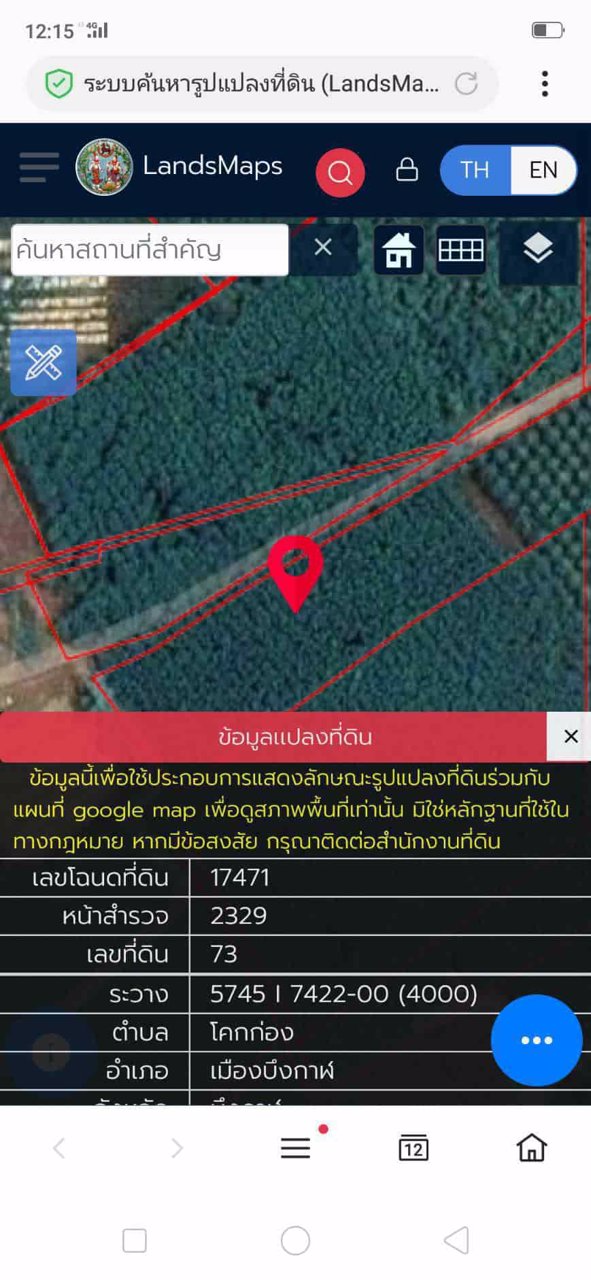 ขายสวนยางและสวนปาล์ม-44-ไร่-3-งาน-35-ตรว