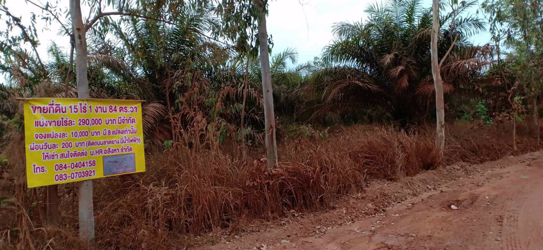 ขายสวนยางและสวนปาล์ม-44-ไร่-3-งาน-35-ตรว