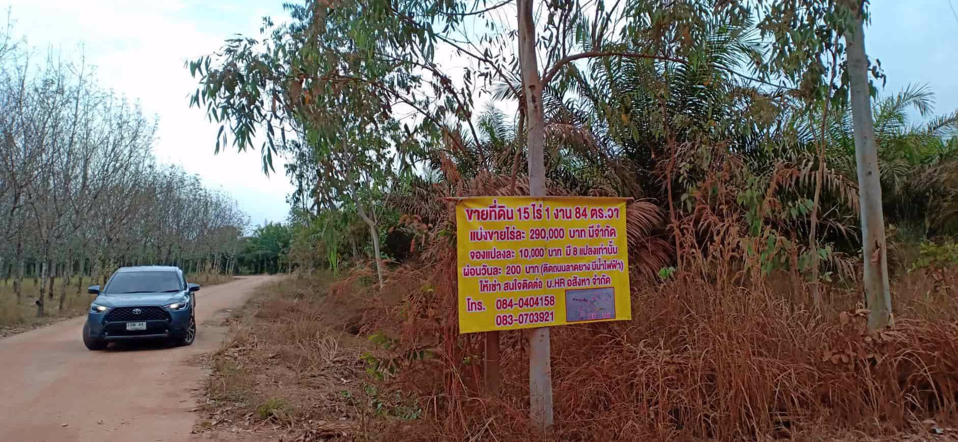 ขายสวนยางและสวนปาล์ม-44-ไร่-3-งาน-35-ตรว