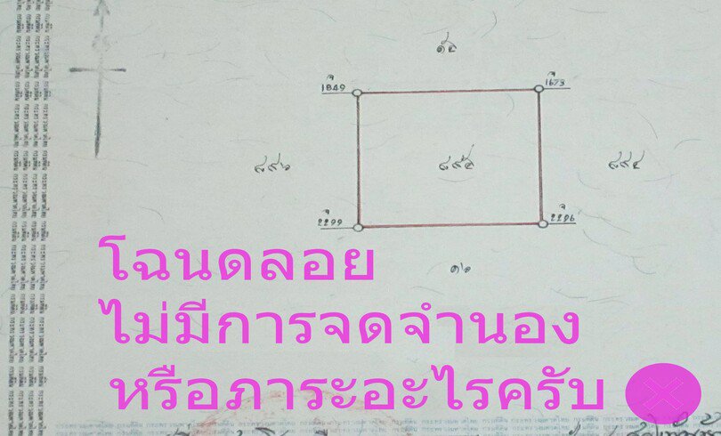 ขายที่ดิน1ไร่ลำลูกกาคลอง4-ซอยไสวประชาราษฎร์19-ลาดสวาย-โฉนดลอยเจ้าของขายเอง-ราคาต่อรองได้-นัดดูโฉนดตั