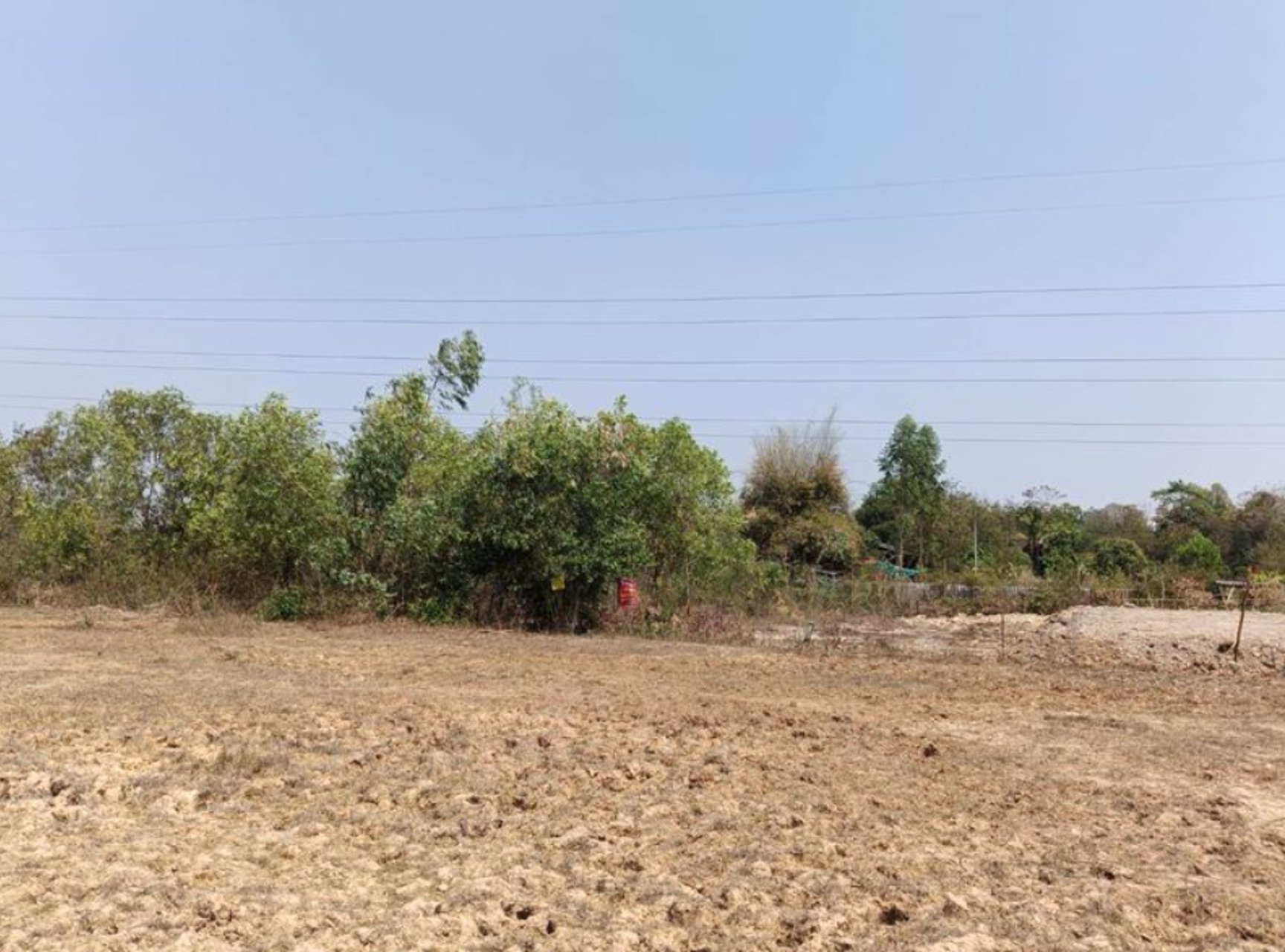 ขายที่ดินใกล้สนามฟุตซอล-โนนสูง-ไร่ละ250000บาท