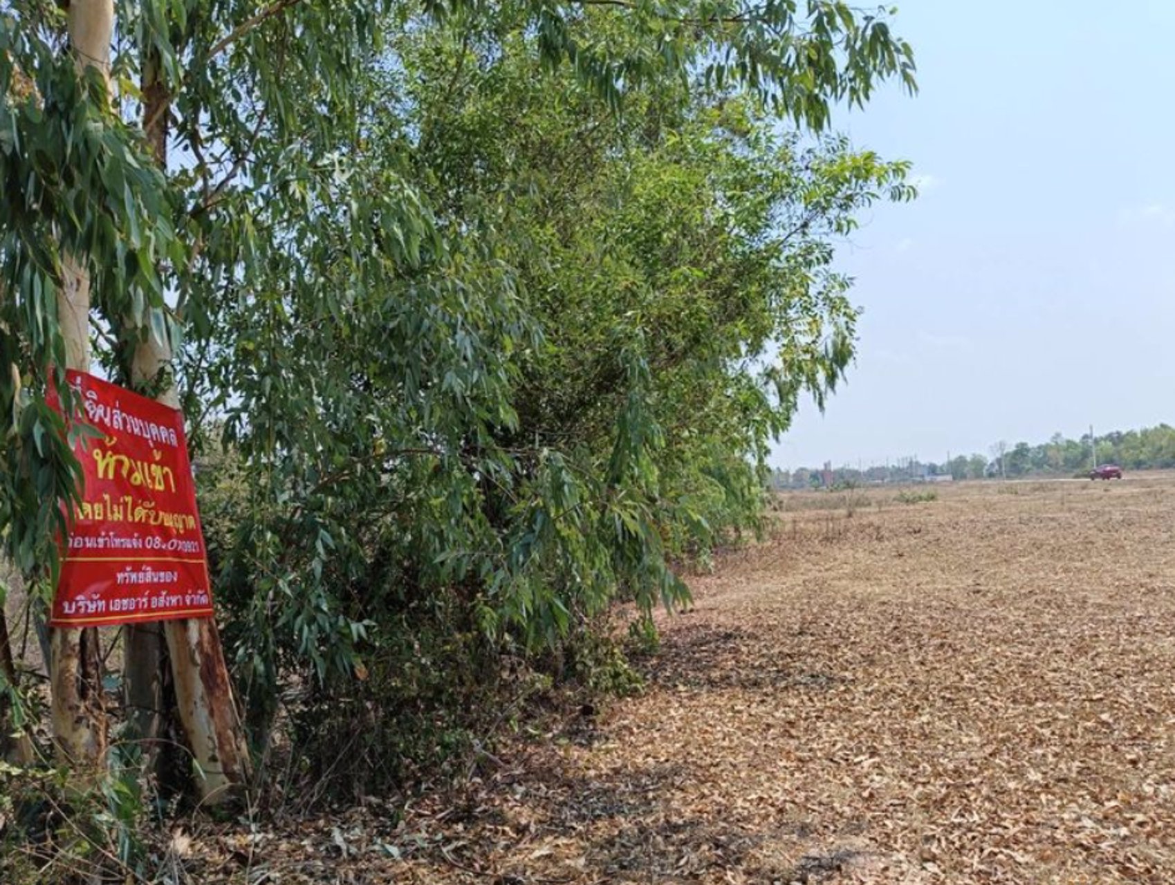 ขายที่ดินใกล้สนามฟุตซอล-โนนสูง-ไร่ละ250000บาท