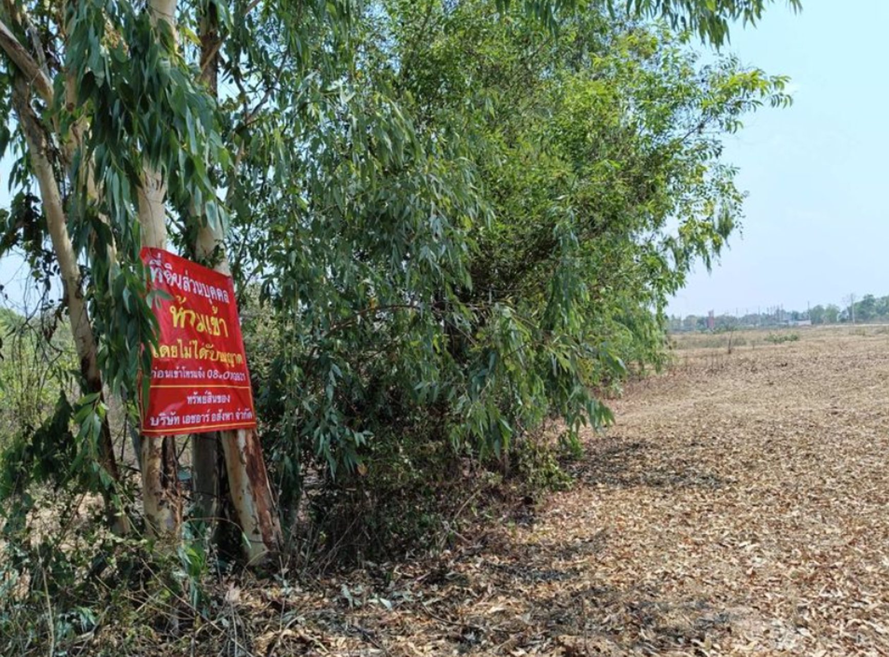 ขายที่ดินใกล้สนามฟุตซอล-โนนสูง-ไร่ละ250000บาท