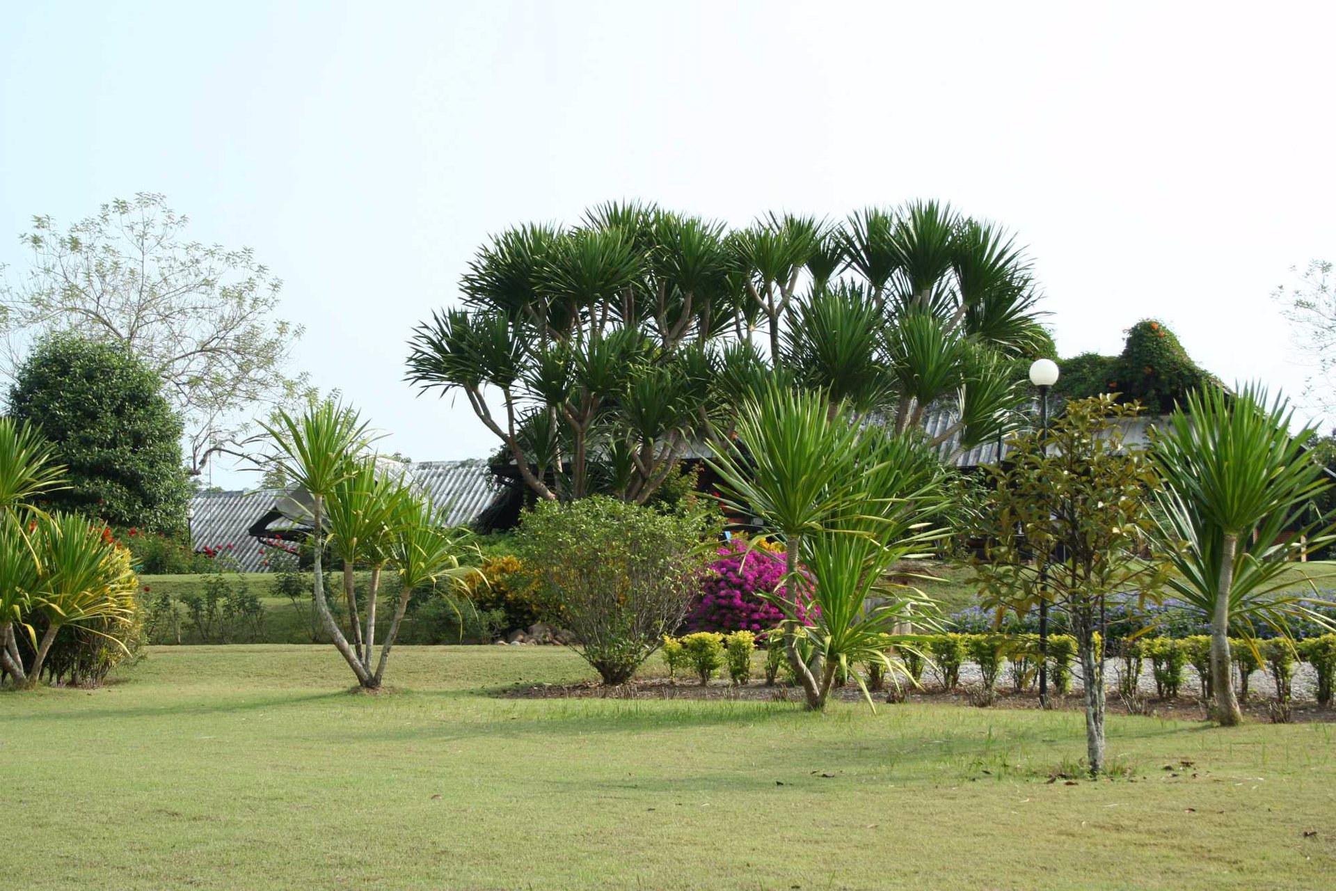 ขายบ้านพร้อมที่ดิน-22-ไร่-37-ตารางวา-จเลย-เหมาะแก่การทำเรือนรับรอง