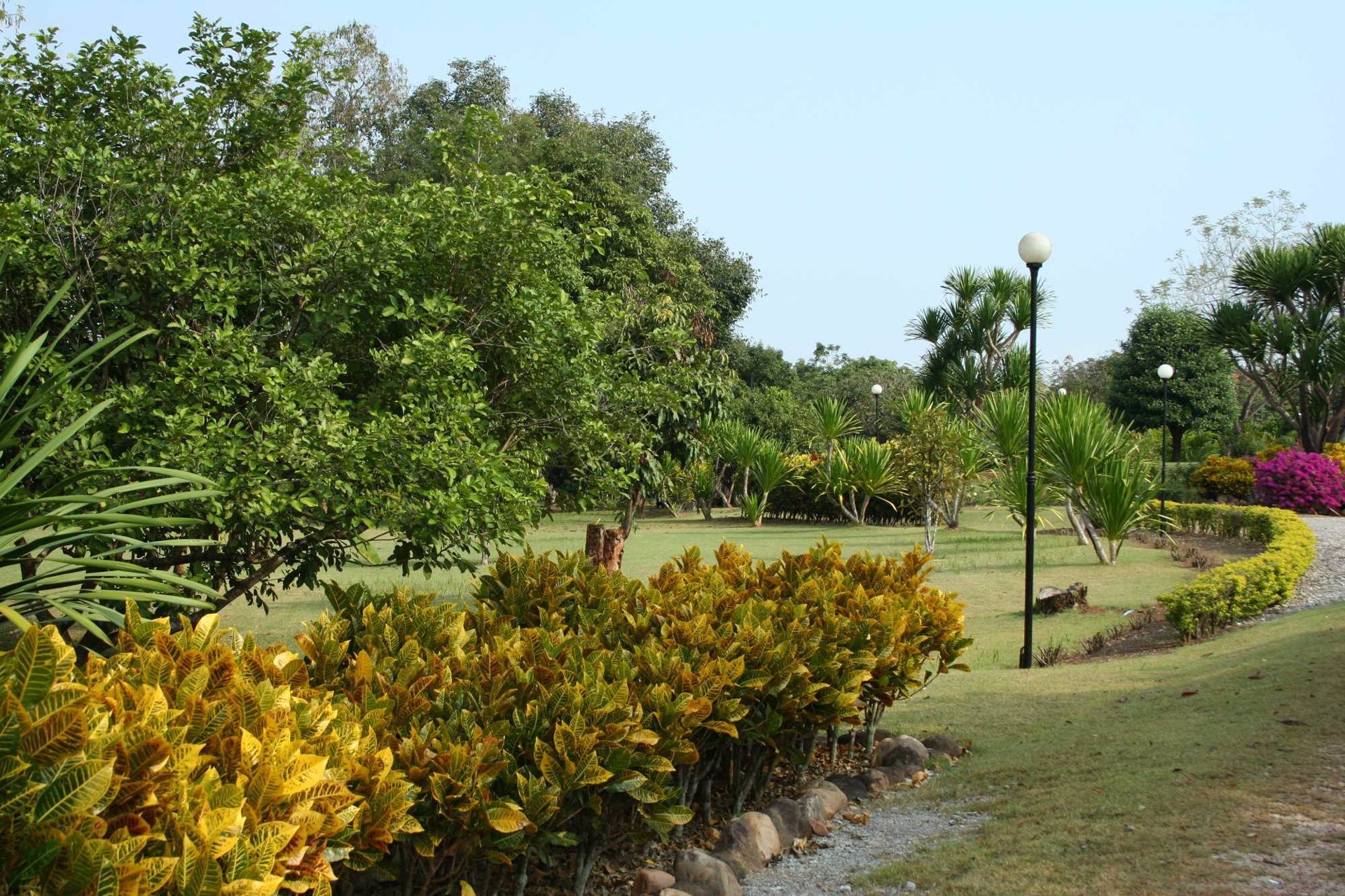 ขายบ้านพร้อมที่ดิน-22-ไร่-37-ตารางวา-จเลย-เหมาะแก่การทำเรือนรับรอง