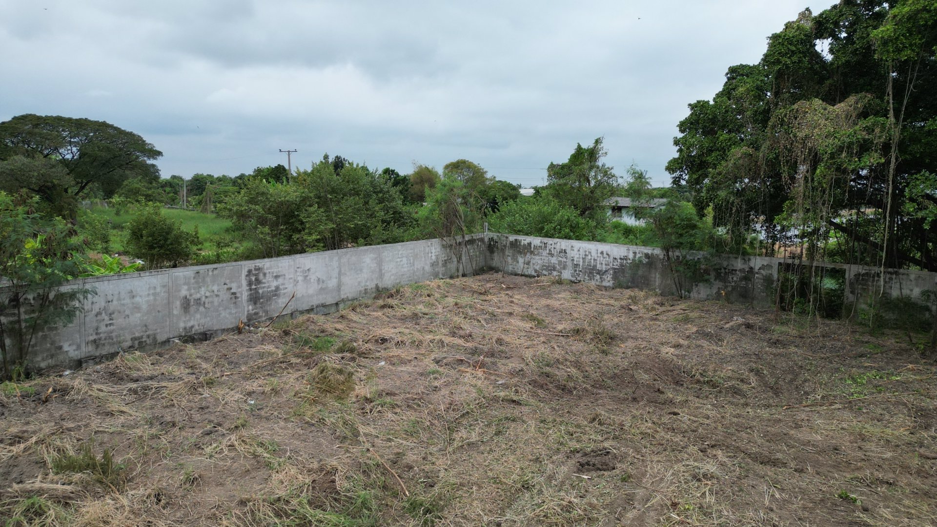 ขายที่ดิน-ขนาด-3-ไร่-1งาน-52-ตารางวา